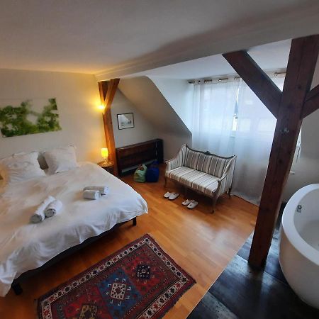 145M² City Center 4 Bedrooms View Of The Cathedral Strazburg Dış mekan fotoğraf